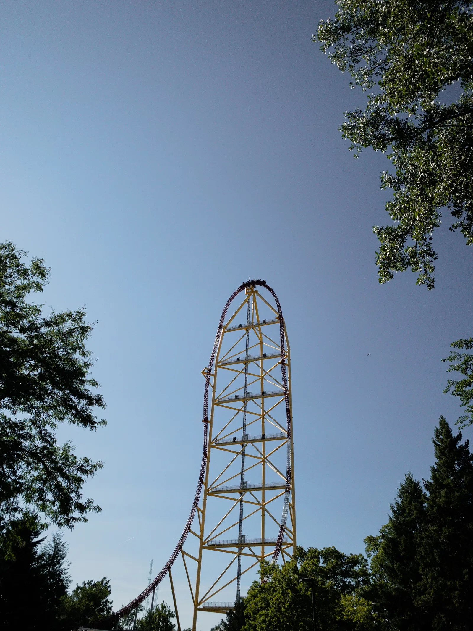 Top Thrill Dragster